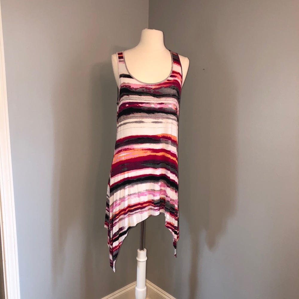 Bit & Bridle Colorful Striped Tunic/Dress